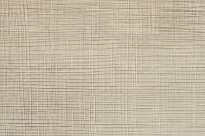 Illustration aspen - Image 1