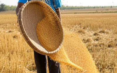 Illustration tailings - Image 1