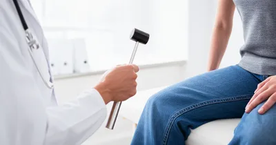 Illustration reflexive - Image 1