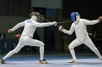 Illustration fences - Image 1