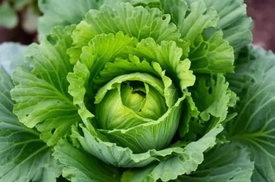 Illustration hearts - Image 1