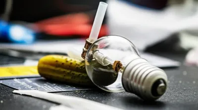 Illustration pickle - Image 1