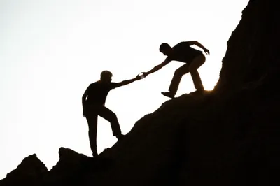 Illustration mounted