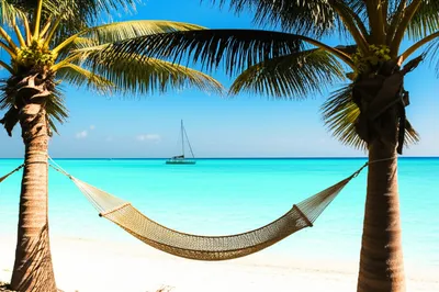 Illustration getaways - Image 1