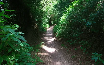 Illustration inconclusive