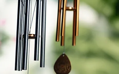 Illustration chinks - Image 1