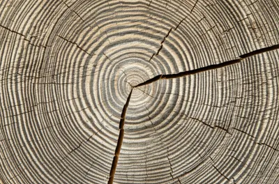 Illustration shake - Image 1