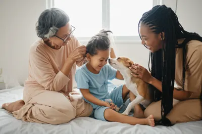 Illustration fusses - Image 1