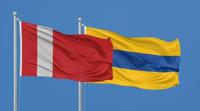 Illustration bicolours - Image 1