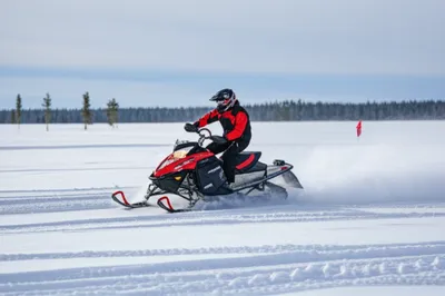 Illustration sleds - Image 1