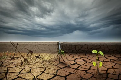 Illustration frontline - Image 1