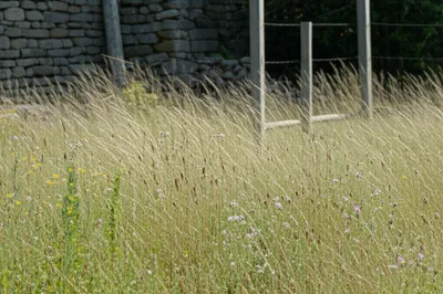 Illustration waste - Image 1