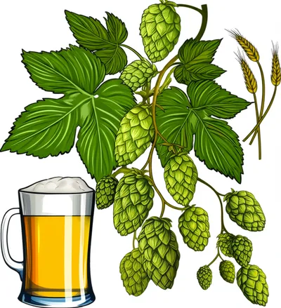 Illustration hop - Image 1