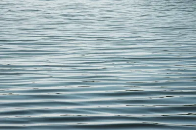 Illustration crisped - Image 1