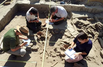 Illustration dig - Image 1