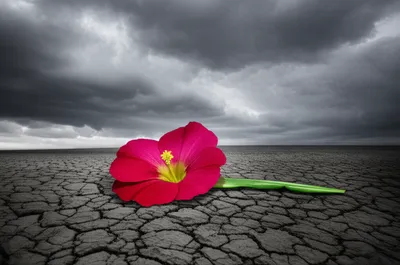 Illustration crushing - Image 1