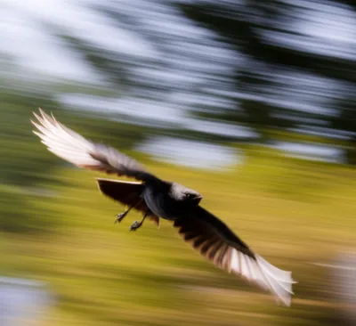 Illustration still - Image 1