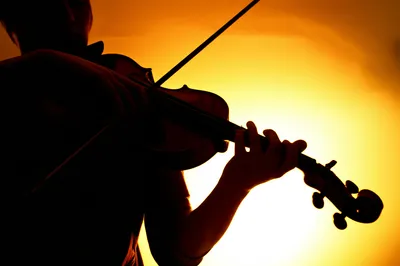 Illustration viol - Image 1