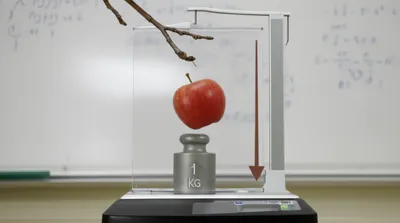 Illustration newtons - Image 1