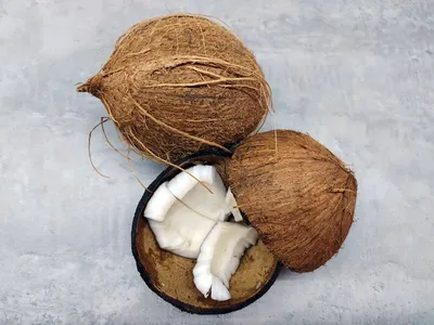 Illustration coconuts - Image 2