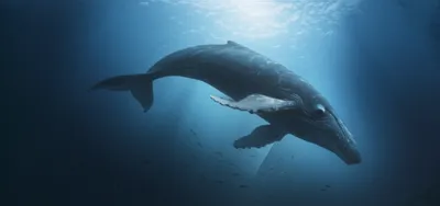 Illustration mills - Image 1