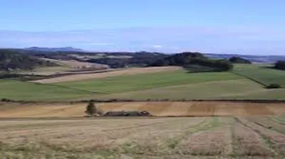 Illustration outfield - Image 2