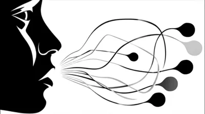 Illustration scent - Image 1