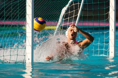 Illustration cages - Image 1