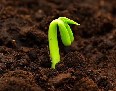 Illustration shoots - Image 1