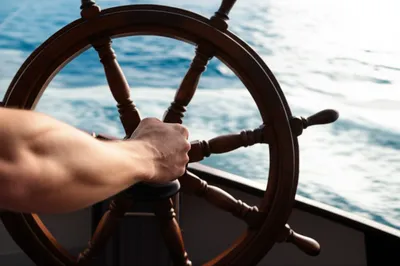 Illustration steer - Image 1