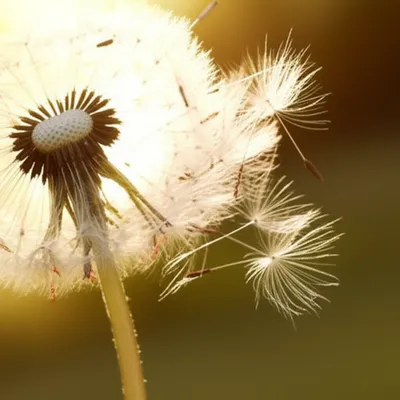 Illustration waft - Image 1