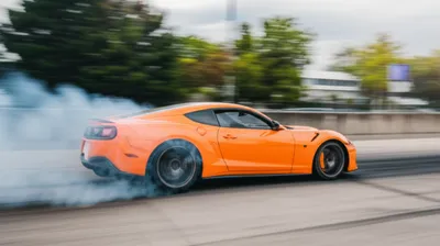 Illustration screech - Image 1