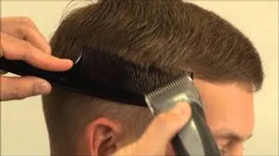 Illustration cut - Image 3