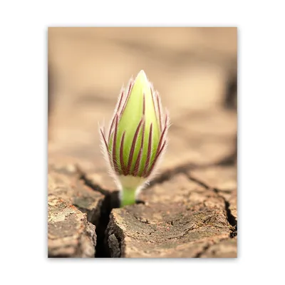 Illustration harden - Image 1