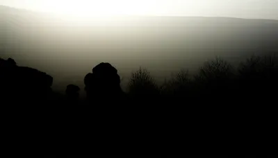 Illustration dark - Image 1