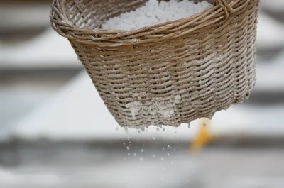 Illustration burrow - Image 1