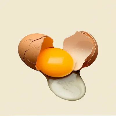 Illustration separating - Image 1