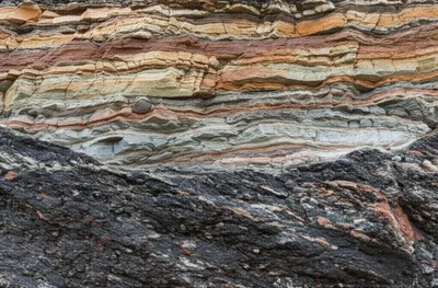 Illustration floor - Image 1