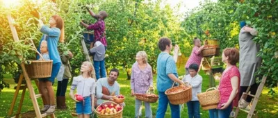 Illustration picking - Image 1