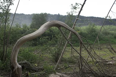 Illustration inure - Image 1