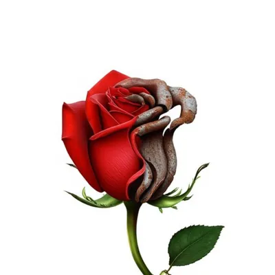 Illustration wrench - Image 1