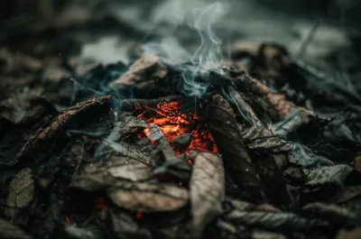 Illustration smothered - Image 1