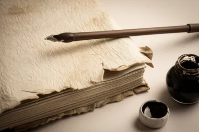 Illustration sheepskins