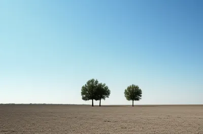 Illustration little - Image 1