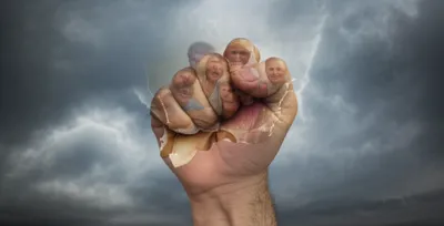 Illustration stomachs - Image 1