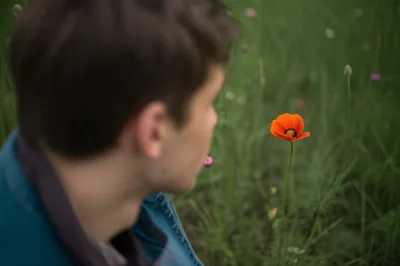 Illustration glances - Image 1