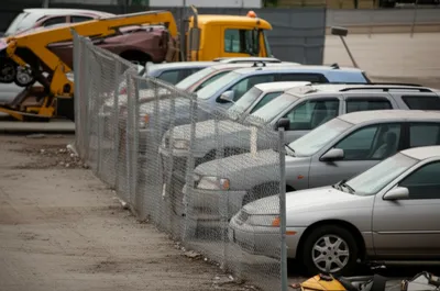 Illustration pound - Image 1