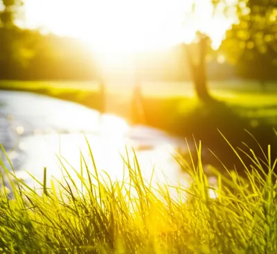 Illustration bliss - Image 1