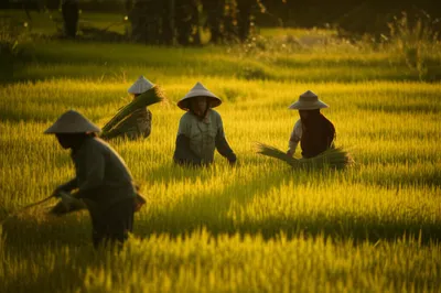 Illustration yellower - Image 1