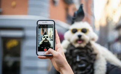 Illustration snapshot - Image 1